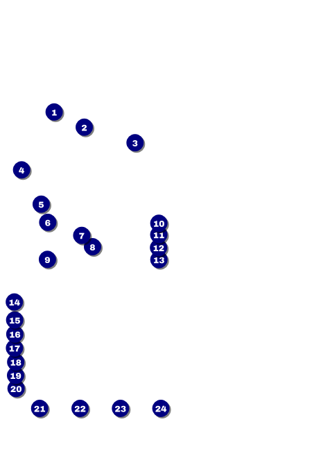 Dance Recital Invitation Front Field Markers