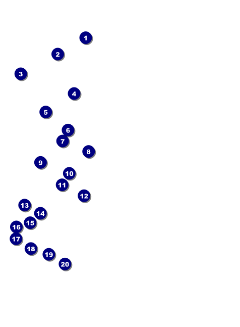 Dallas Invitation (Black and White) Front Field Markers