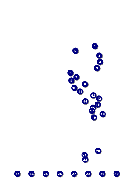 South Carolina Poster Front Field Markers