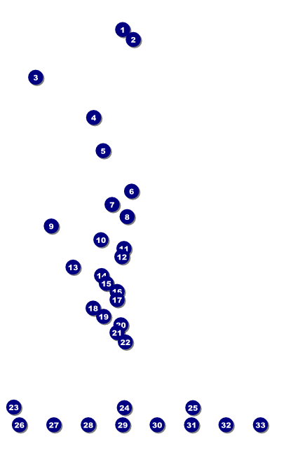 Colorful Trout Poster Front Field Markers