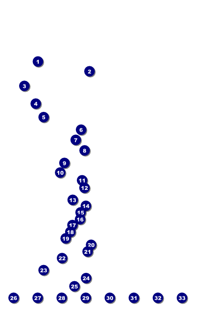 Blue Trout Poster Front Field Markers