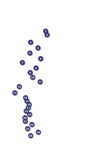St. Patrick's Day Poster 004 (black and white) Front Field Markers