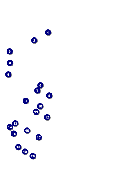 American Flag Poster 001 Front Field Markers