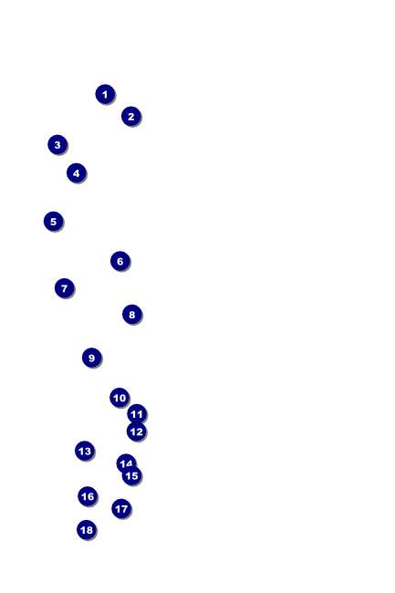 Lions Club International Water Color Poster Front Field Markers