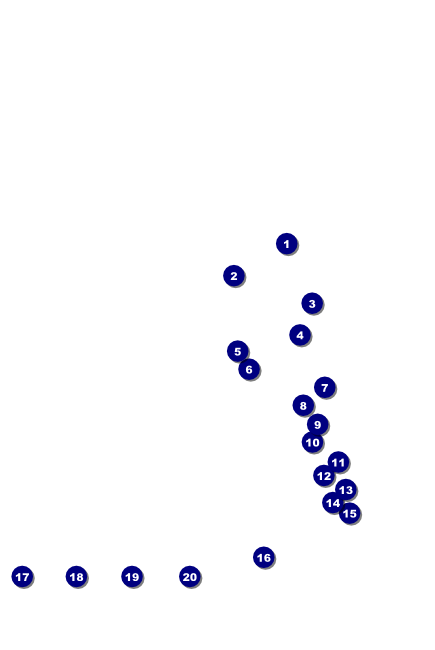 WFL Oklahoma Thunder Poster Purple Front Field Markers