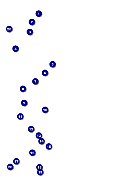 Year Poster (Gold) Front Field Markers