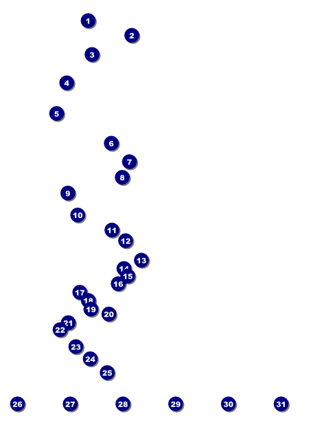 Spider Web Flyer Front Field Markers
