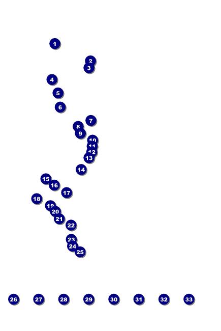 Cap and Gown Poster Logo Front Field Markers