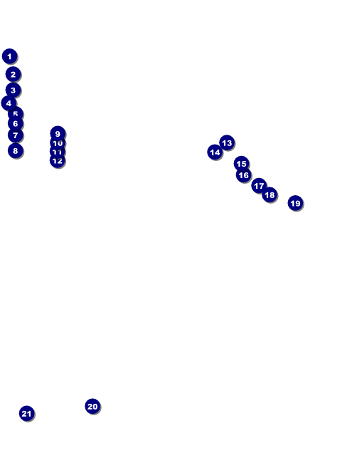 TGR TDF Flyer with a logo banner Front Field Markers