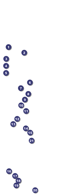 Missouri VIP Pass Front Field Markers