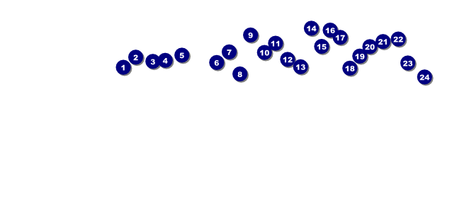 Bridal Fair VIP Pass Front Field Markers