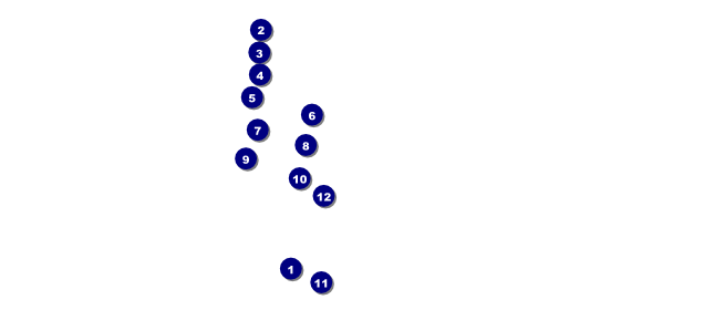 Fly Fishing VIP Pass Front Field Markers