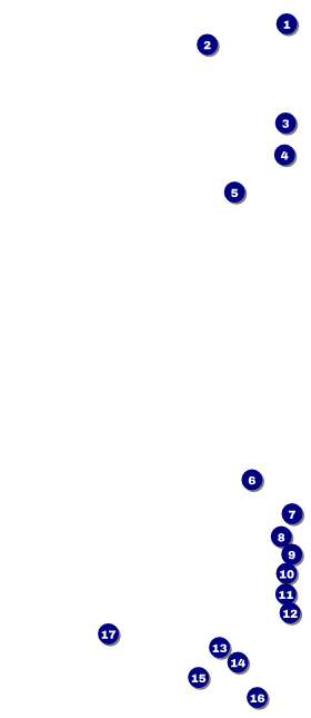 Prism Tree VIP Pass Front Field Markers