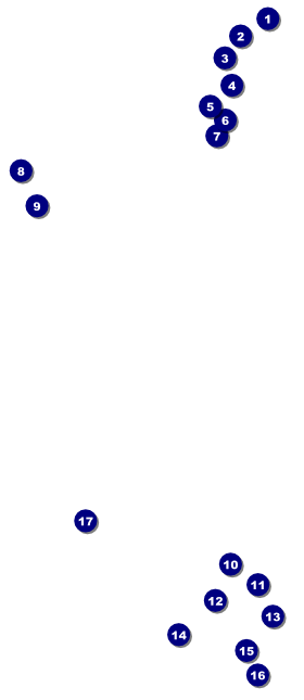 Martin Luther King VIP Pass Front Field Markers