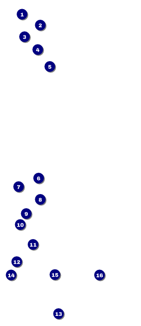 Run for a Cause Pink VIP Pass Front Field Markers