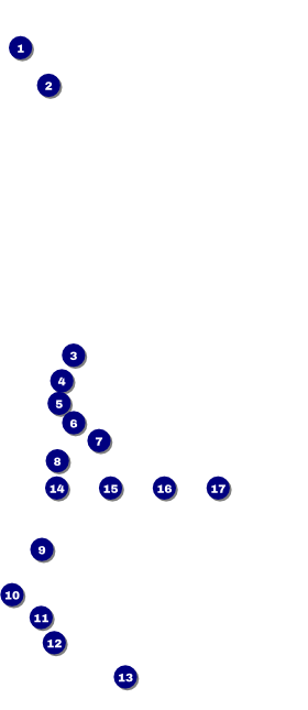 Dance Festival VIP Pass Front Field Markers