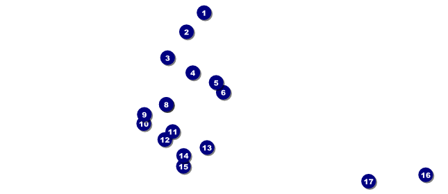 Buddha Statue VIP Pass Front Field Markers