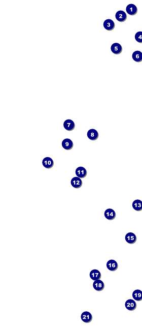 Nutcracker Ballet VIP Pass Front Field Markers
