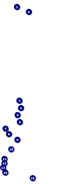 Cherry Blossom Circle VIP Pass Front Field Markers