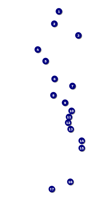 Stylish Rose VIP Pass Front Field Markers