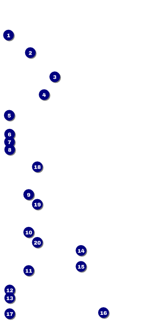 Comedy Retro Microphone VIP Pass Front Field Markers