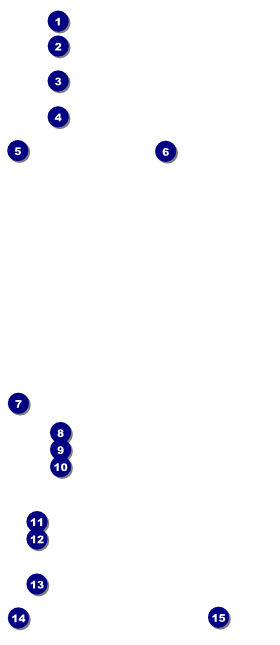 Spokane VIP Pass Front Field Markers