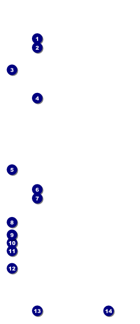 African Theme VIP Pass Front Field Markers