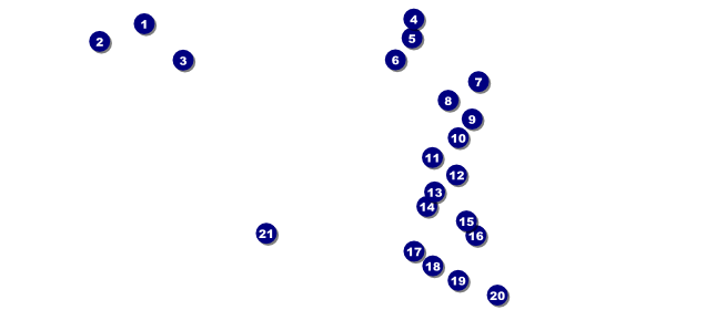 San Antonio VIP Pass (Black and white) Front Field Markers