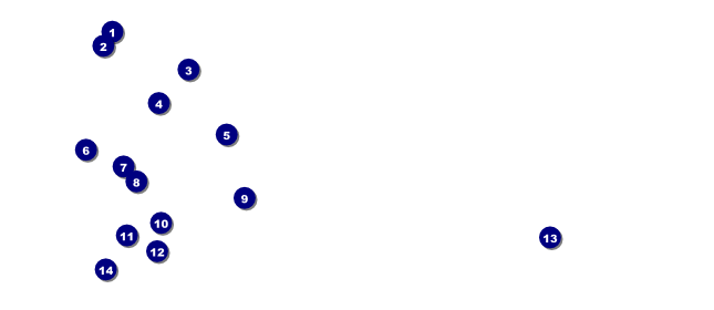 Aloha VIP Pass (black and white) Front Field Markers