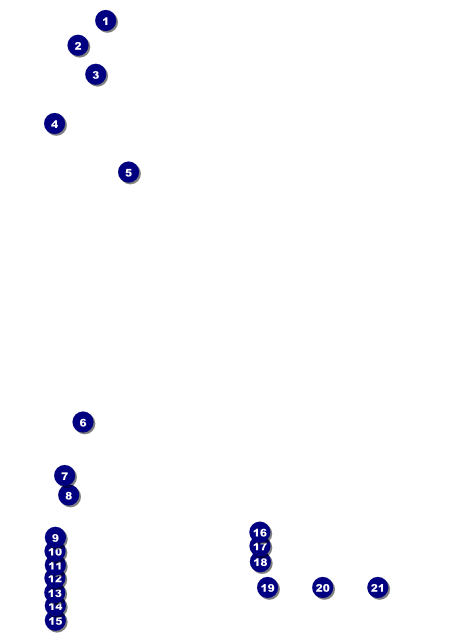 Santa Barbara CA Flyer Front Field Markers