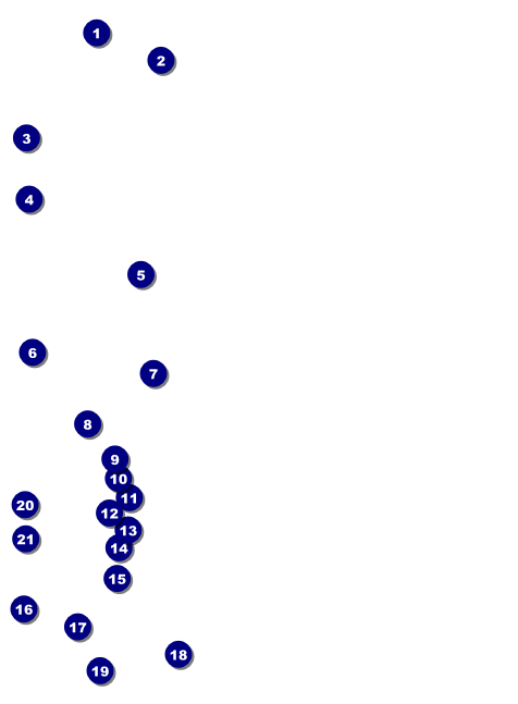 Animal Print Invitation Front Field Markers