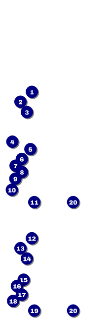 Merry Go Round Event Ticket Front Field Markers