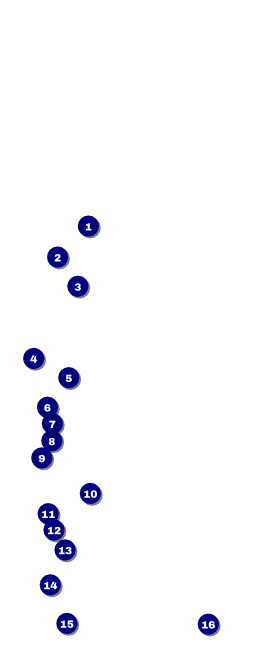 Merry Go Round VIP Pass Front Field Markers