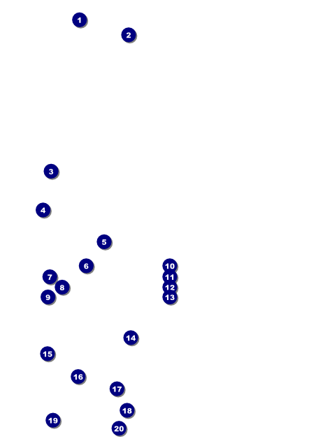 Midsummer Night's Dream Flyer Front Field Markers