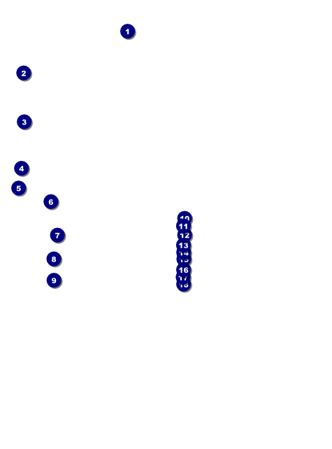 Power Lifting Flyer Front Field Markers