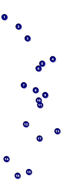 Winter Cut Paper VIP Pass Front Field Markers