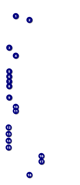 Movie Night VIP Pass Front Field Markers