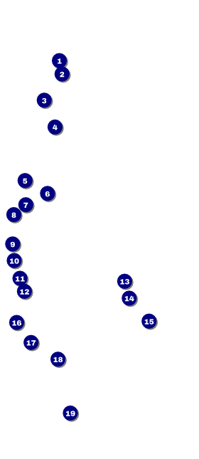 All Purpose Blocks VIP Pass Front Field Markers