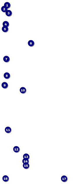 All Purpose Clouds VIP Pass Front Field Markers