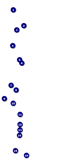 Diamonds Black VIP Pass Front Field Markers